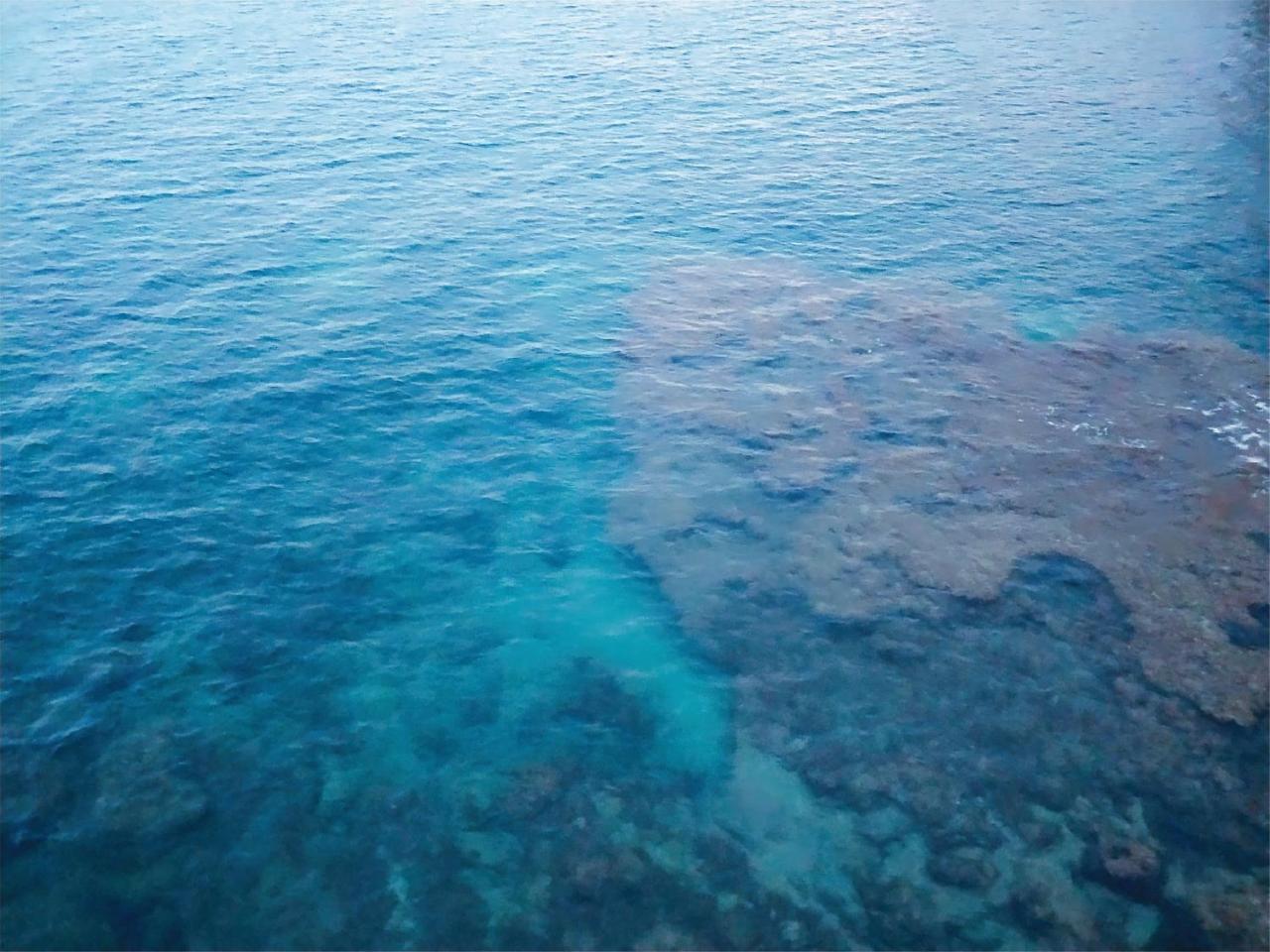 Ciclamino Siracusa سيراكوزا المظهر الخارجي الصورة